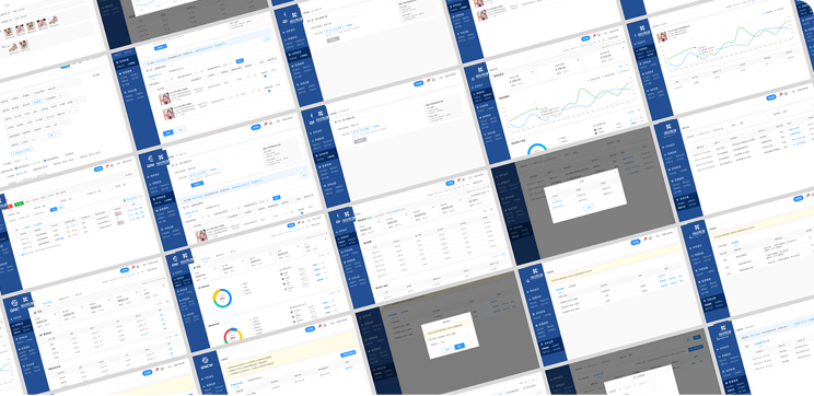 鑫苑（中國）置業(yè)全面財(cái)務(wù)預(yù)算系統(tǒng)